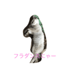 ponta stamps（個別スタンプ：7）