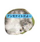 セナとアレン（個別スタンプ：1）