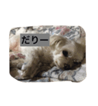 セナとアレン（個別スタンプ：3）