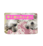 セナとアレン（個別スタンプ：6）