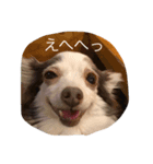 なんか用？（個別スタンプ：2）