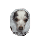 なんか用？（個別スタンプ：4）