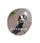 なんか用？（個別スタンプ：6）