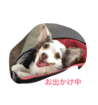 なんか用？（個別スタンプ：7）
