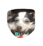 なんか用？（個別スタンプ：8）