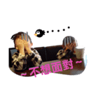 Eason ＆ Ian（個別スタンプ：6）