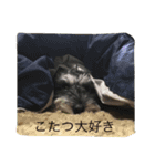 ピンちゃんのつぶやき2（個別スタンプ：14）
