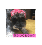ピンちゃんのつぶやき2（個別スタンプ：19）