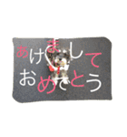 ピンちゃんのつぶやき2（個別スタンプ：21）
