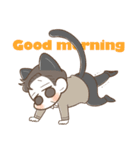 仲良し猫ちゃんず（個別スタンプ：17）