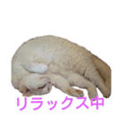 みんないつも一緒 リメイク（個別スタンプ：9）