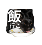 黒猫ヤマト（個別スタンプ：4）