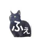 黒猫ヤマト（個別スタンプ：6）