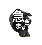 黒猫ヤマト（個別スタンプ：12）
