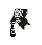 黒猫ヤマト（個別スタンプ：13）