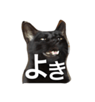 黒猫ヤマト（個別スタンプ：16）