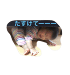 そらなとななこ（個別スタンプ：12）