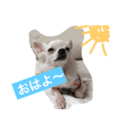 茜 でしてよ（個別スタンプ：2）