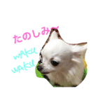 茜 でしてよ（個別スタンプ：5）