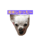 茜 でしてよ（個別スタンプ：6）
