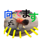 さくたろう  スタンプ（個別スタンプ：5）
