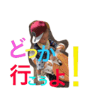 さくたろう  スタンプ（個別スタンプ：14）