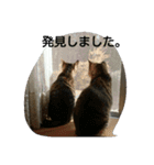 そらのあ（個別スタンプ：10）