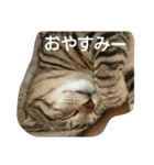 そらのあ（個別スタンプ：12）