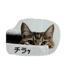 そらのあ（個別スタンプ：15）