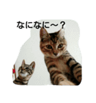 そらのあ（個別スタンプ：26）