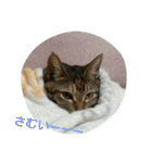 そらのあ（個別スタンプ：28）