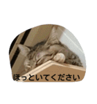 そらのあ（個別スタンプ：34）