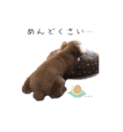 トイプードルふうた（個別スタンプ：15）