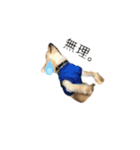 チワプーRIKU.（個別スタンプ：16）