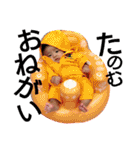 rana！！rana！！rana！！rana！！（個別スタンプ：35）