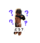 ゆうひでふ。（個別スタンプ：2）