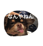 チコスタンプ（個別スタンプ：2）