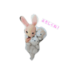 おかぴのかわいい仲間たち 2（個別スタンプ：1）