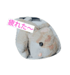 おかぴのかわいい仲間たち 2（個別スタンプ：3）