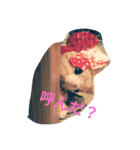 おかぴのかわいい仲間たち 2（個別スタンプ：9）