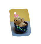 おかぴのかわいい仲間たち 2（個別スタンプ：11）