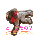 りんちゃんだよー！（個別スタンプ：11）