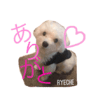 ライチ(Ryeche)の日常（個別スタンプ：3）