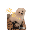 ライチ(Ryeche)の日常（個別スタンプ：7）