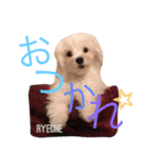 ライチ(Ryeche)の日常（個別スタンプ：8）