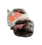 French Bulldog Kai（個別スタンプ：6）