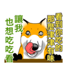 フォックスと友達の日々❸（個別スタンプ：13）
