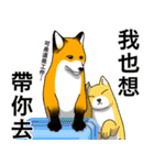 フォックスと友達の日々❸（個別スタンプ：19）