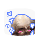 うちのエースくん（個別スタンプ：2）