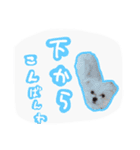 うちのエースくん（個別スタンプ：3）